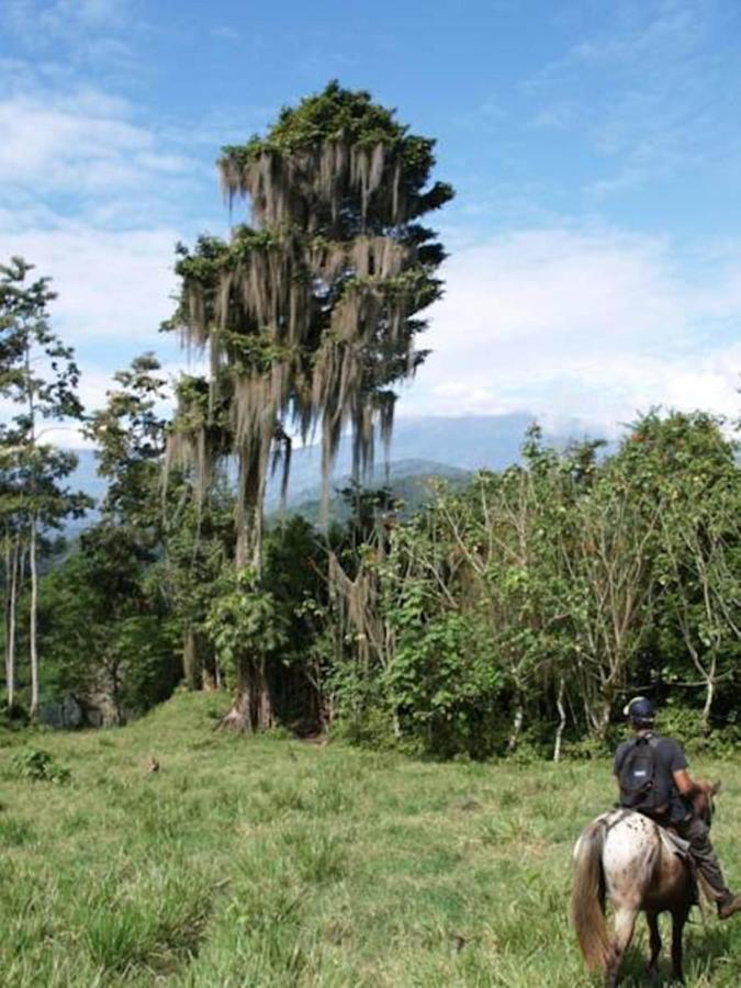 Отель Hacienda Monteclaro Турриальба Экстерьер фото