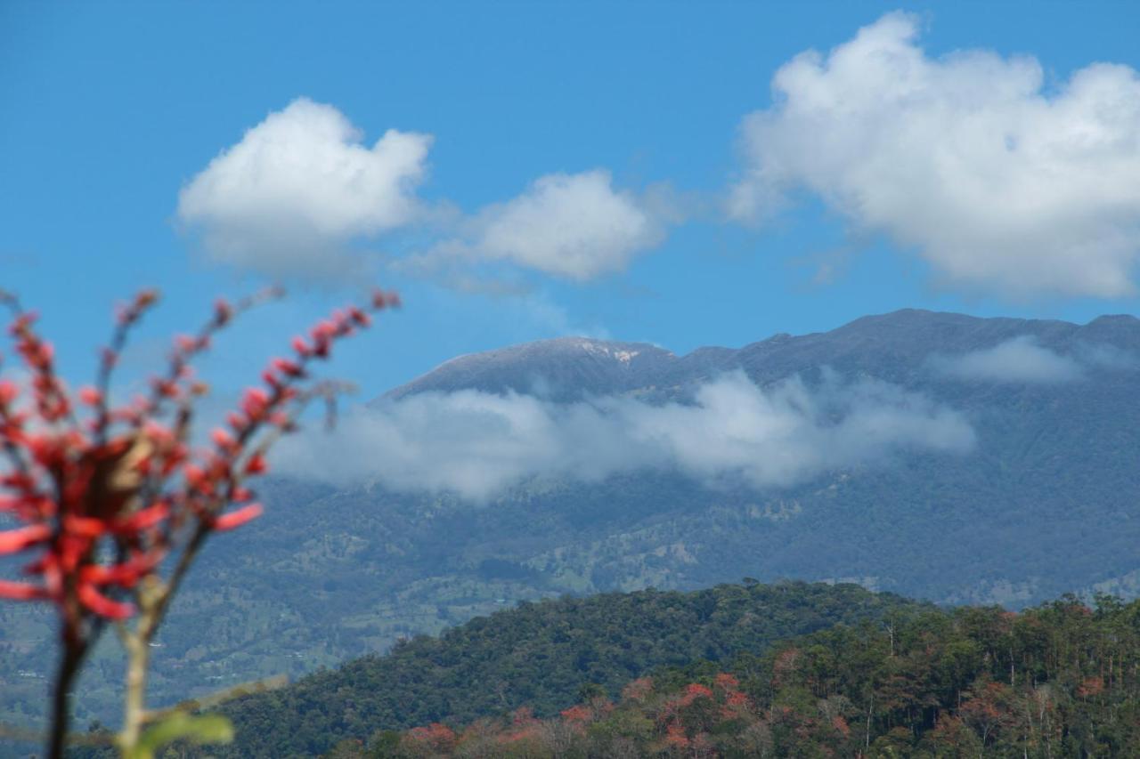 Отель Hacienda Monteclaro Турриальба Номер фото